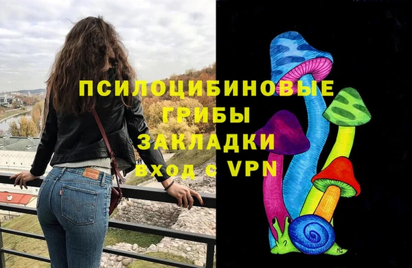 a pvp Верея