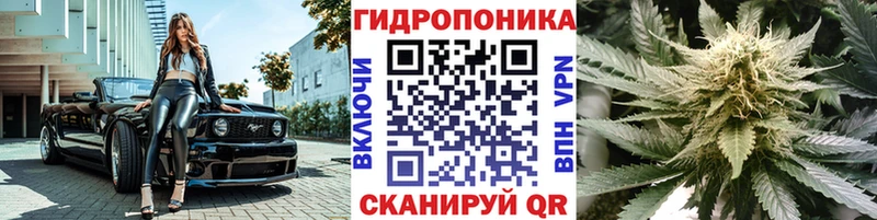 Канабис тримм  где купить наркотик  ОМГ ОМГ как войти  Новый Уренгой 